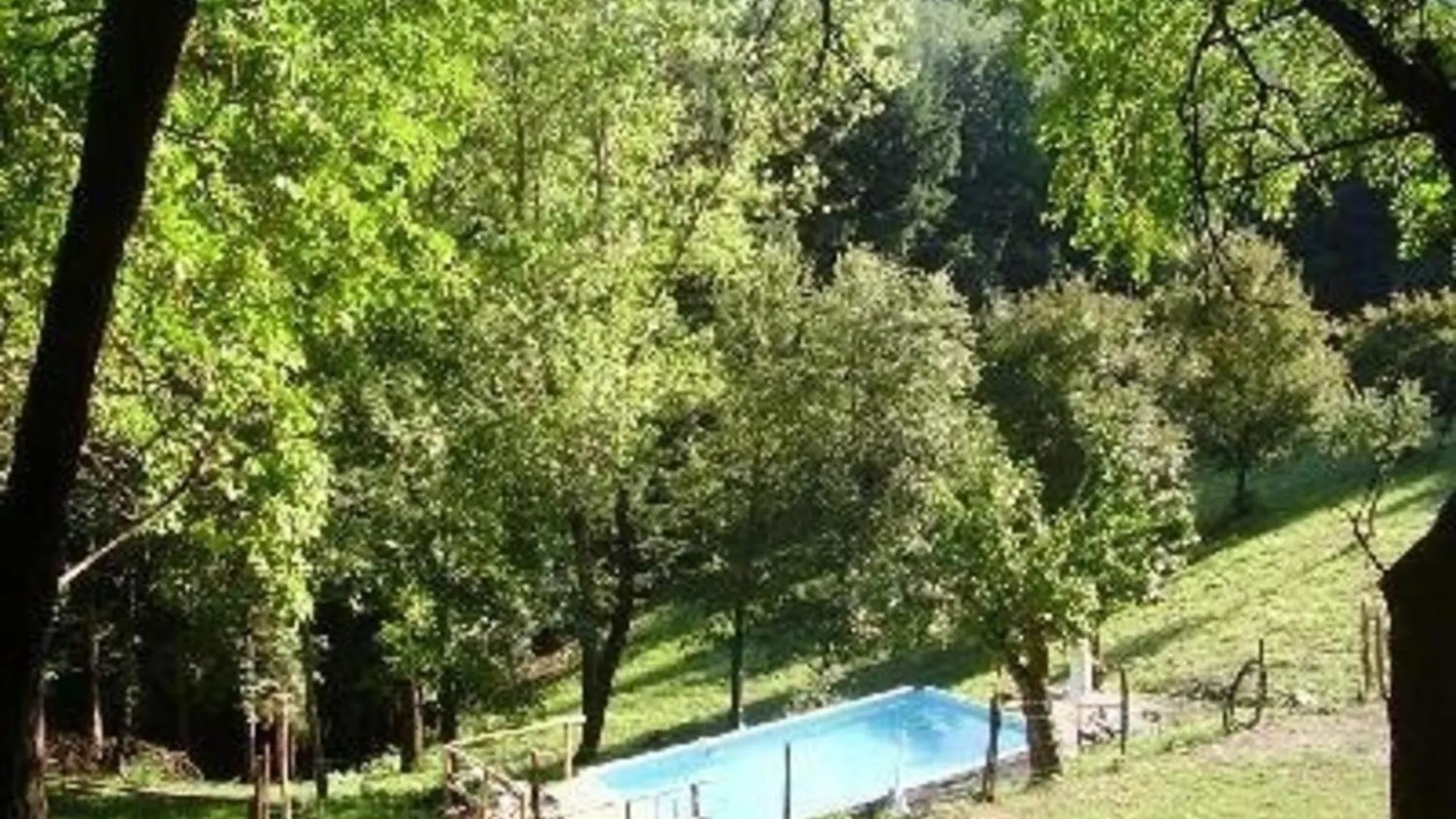 Apartment Appartement Mit Grill, Gemeinsamem Pool Und Garten - B56993 Bibbiena