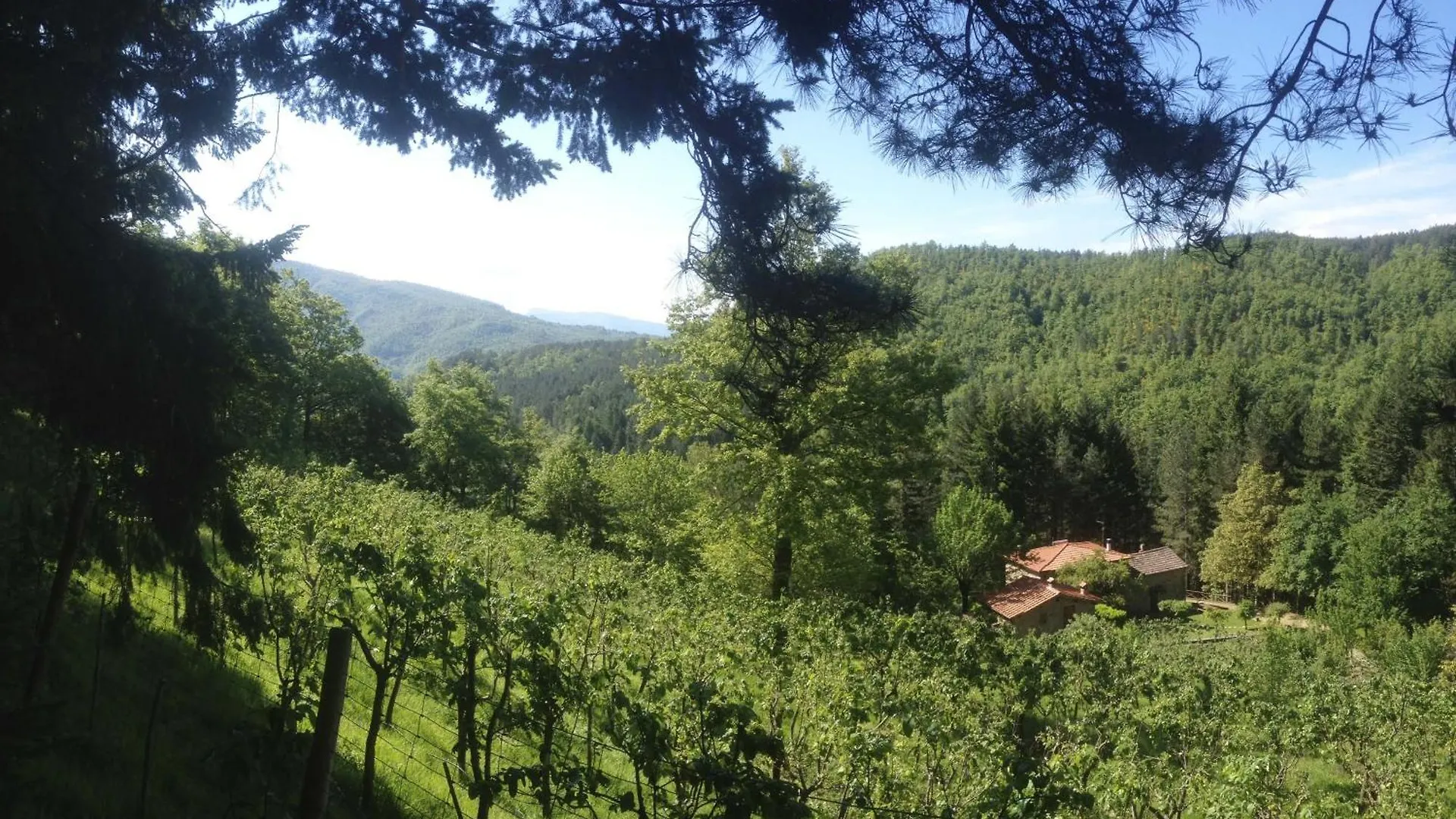 Appartement Mit Grill, Gemeinsamem Pool Und Garten Bibbiena Italy